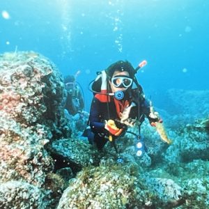 趣味のスキューバダイビング